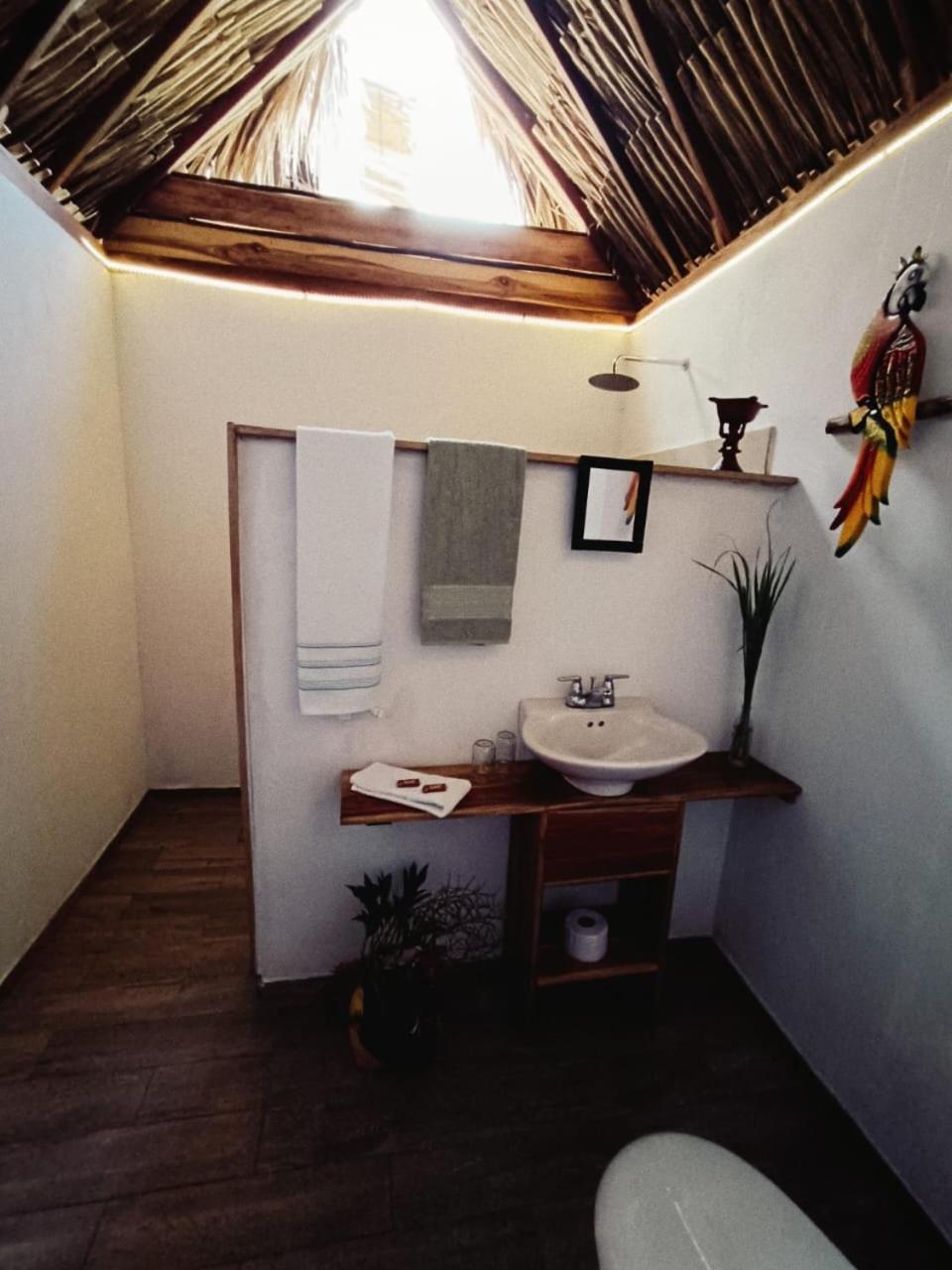 El Paraiso De Carmen Palomino Extérieur photo