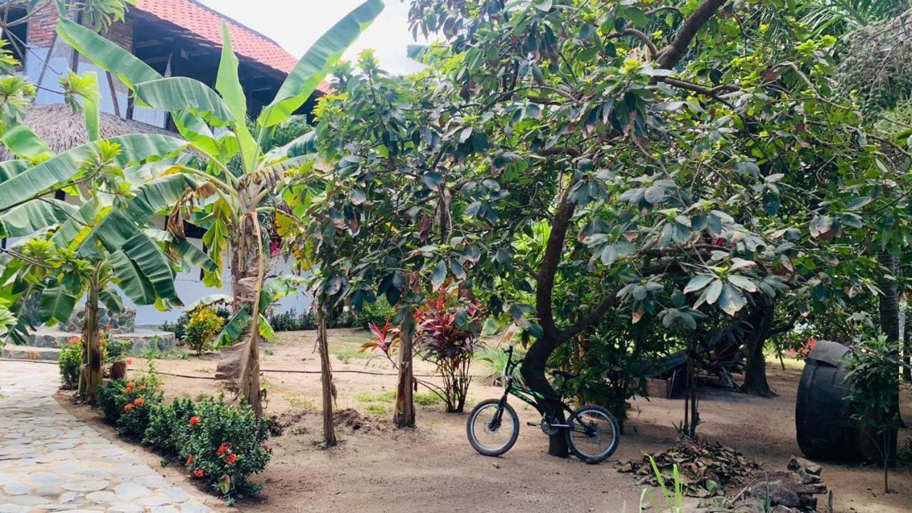 El Paraiso De Carmen Palomino Extérieur photo