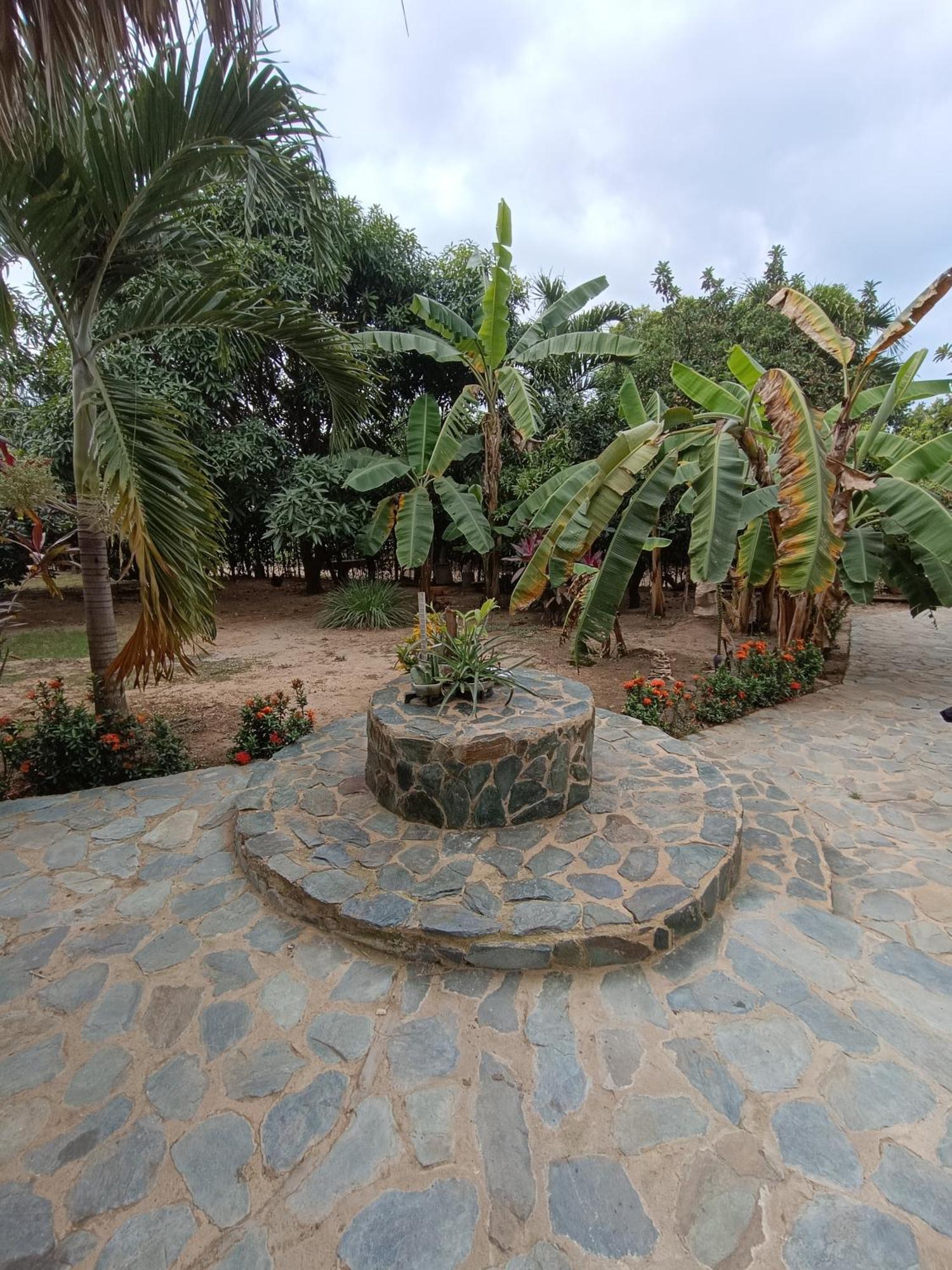 El Paraiso De Carmen Palomino Extérieur photo