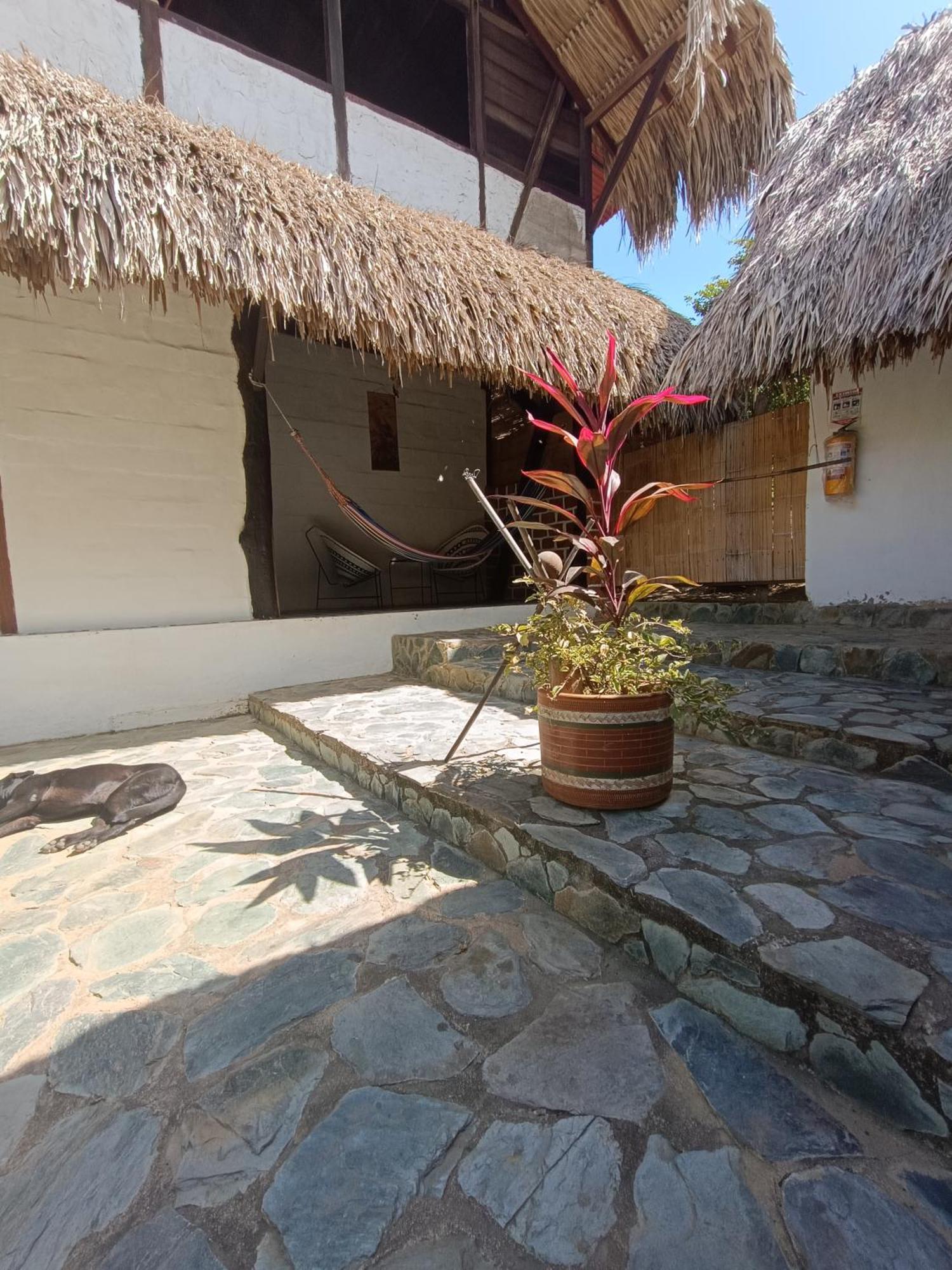 El Paraiso De Carmen Palomino Extérieur photo